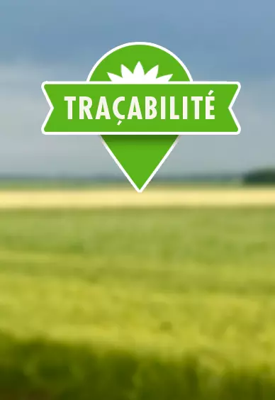 tracabilité