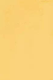 gradient couleur lapin