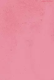 gradient couleur porc